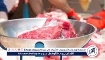 كيف توزع لحم الأضحية؟.. دليلك الشرعي الكامل لتقسيم الأضحية في عيد الأضحى 2025