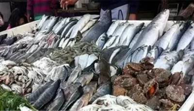 سعر المأكولات البحرية والأسماك مساء اليوم الجمعة 18 إبريل 2025