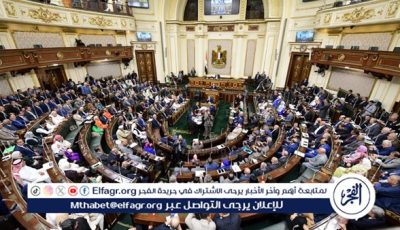 لجنة الزراعة بمجلس النواب توصي بإعادة دراسة مناطق محصول الأرز (تفاصيل)