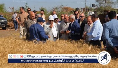 محافظ الدقهلية توريد 112 ألف طن قمح لشون وصوامع الدقهلية منذ بدء موسم الحصاد