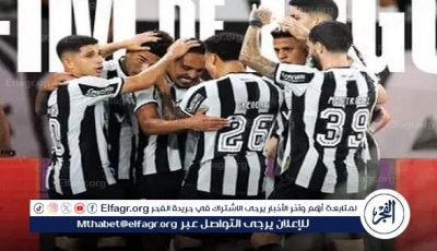 بوتافوجو يهزم إنترناسونال برباعية في الدوري البرازيلي