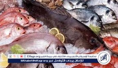 تعرف على أسعار الأسماك اليوم الأحد الموافق 11-5-2025 فى سوهاج