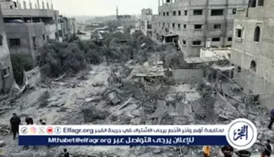 التنسيق المصري الأردني يعزز دعم القضية الفلسطينية