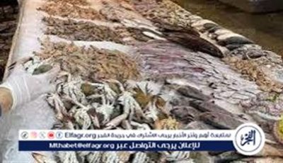 أسعار الأسماك اليوم الخميس الموافق 7-5-2025 في سوهاج