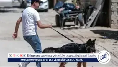 تنظيم حيازة الكلاب والحيوانات الخطرة لحماية المواطنين وفق قانون جديد