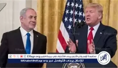 الصراع وحشي وإطلاق سراح ألكسندر خطوة أولى نحو النهاية