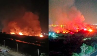 النار تلتهم حشائش على مساحة كبيرة بكورنيش حدائق حلوان| شاهد
