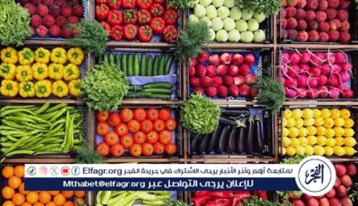أسعار الخضراوات والفاكهة اليوم الإثنين 12-5-2025 بسوهاج