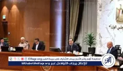مجلس الوزراء يوافق على تعديل قانون حيازة الحيوانات الخطرة وتحديد أنواع الكلاب المسموح بها